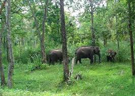 ഇമേജ് പൂര്‍ണ വലുപ്പത്തില്‍ കാണുക