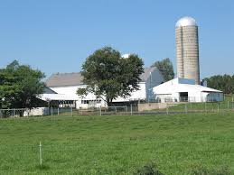 dairy farm