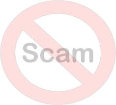 Post image for The Truth About all those “Guarantee to Win at Chess” Websites