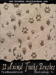 animal tracks clipart