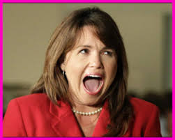 Christine ODonnell may have