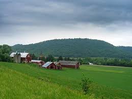 dairy farm