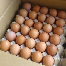 http://t2.gstatic.com/images?q=tbn:6RHWWK3lAAGTrM:http://gambar.iklanmax.com/20081215/206434/telur-organik-natur-aid.jpg