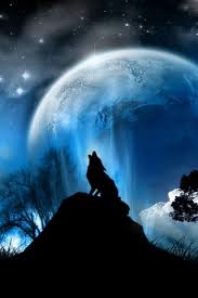 howling wolf wallpaper