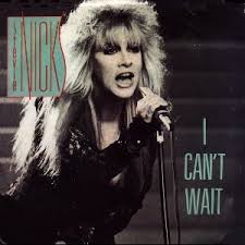 stevie nicks