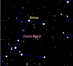 Sirius in our night skies.