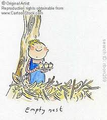 empty nest