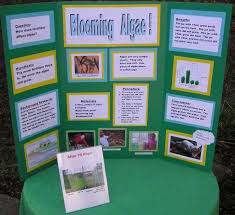 science fair project