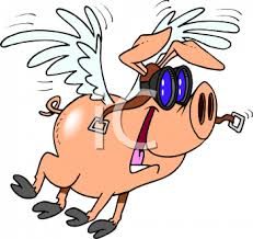 Is it time for Chief Minister Le Suer to resign ? Cartoon_of_a_flying_pig_wearing_goggles_clipart_image.pngs_clipart_image