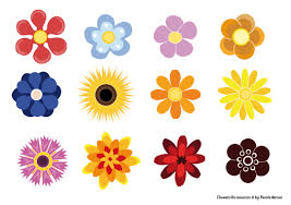 vector images adobe illustrator