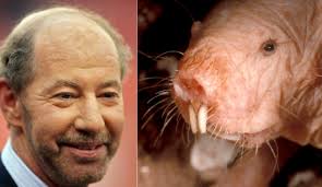 Does Tony Kornheiser Resemble