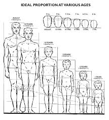 human anatomy drawings