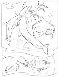 national geographic coloring sheets