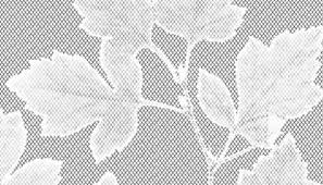 lace