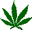 http://t2.gstatic.com/images?q=tbn:83zOtq8ylFEHqM:http://img03.picoodle.com/img/img03/8/5/7/f_marihuana1m_c6b8e2b.gif&t=1