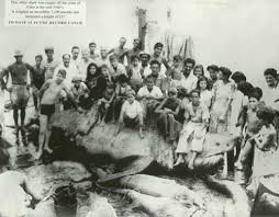 largest caught fish