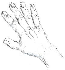how to draw hands