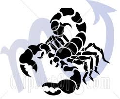 scorpio animals