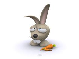 funny wallpapers