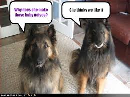 funny noises