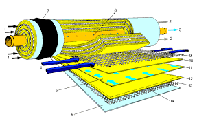 membrane