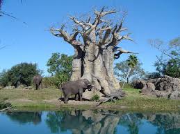 Animal Kingdom