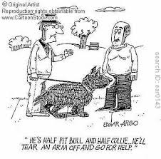 cartoon pitbull