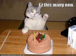 funny happy birthday
