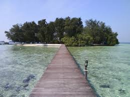 http://t2.gstatic.com/images?q=tbn:98tuEi9GG5WsCM:http://i882.photobucket.com/albums/ac22/mardaniwahyudi/Photo0361.jpg&t=1