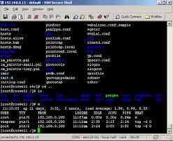 doubt about it that SSH is