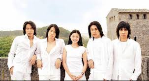 meteor garden
