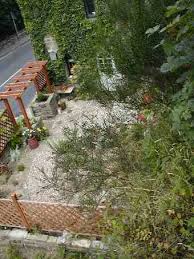 small garden pictures