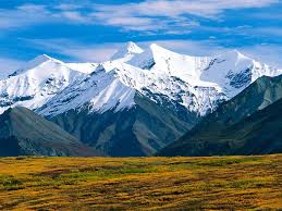 denali national park