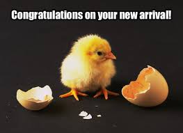 greetings for new baby
