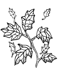 fall coloring sheets