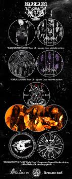  musical groups 