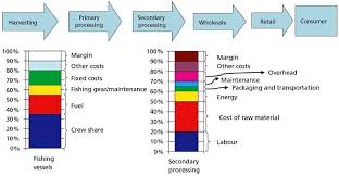 value chain analysis example