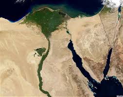 animals of the nile river