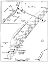 ANDESITE FLOWS AT MT NGAURUHOE, NEW ZEALAND, AND THE IMPLICATIONS