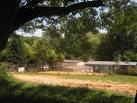 Last Chance Animal Rescue - via Daymix