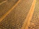 The Old Testament | Flickr - Photo Sharing!