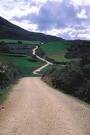 Camino #