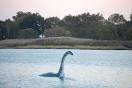 loch-ness-monster.jpg