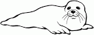 Seal coloring page