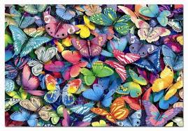 images?qtbnANd9GcQ02RgXhz8g uUtToHm eRDuLGpZjvzhGy2g94 RKsWPMiLO2YGlw