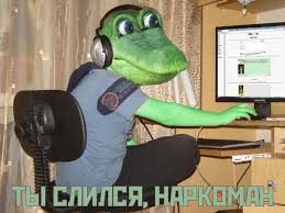 images?q=tbn:ANd9GcQ04BqOZdBpiTtKMcll1EEgJXscpPPquVGAd_cGmMO1oUYr3F9dWfMebhO0XA