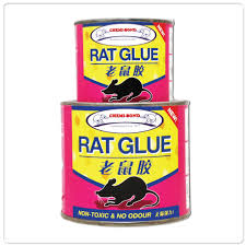 Rat Glue Tin - Pest Control - Consumer Products - Rat_Glue_l
