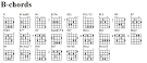 B Chords | Electric Chili