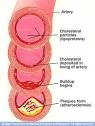 Mayo Clinic medical information and tools for healthy living ...
