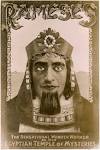 Cards • Edyta Gdek Tarot